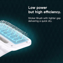 Load image into Gallery viewer, 2 in 1 Pet Hair Dryer