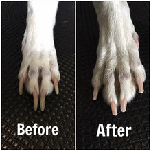Load image into Gallery viewer, Dog Nail Grinder (NOISE FREE)
