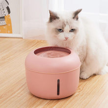 Load image into Gallery viewer, 4-filter Pet Water Fountain
