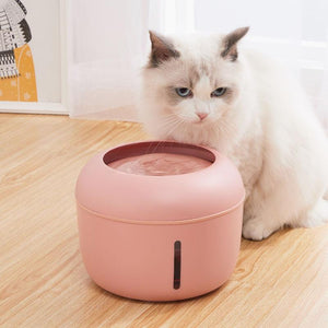 4-filter Pet Water Fountain