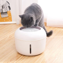 Load image into Gallery viewer, 4-filter Pet Water Fountain
