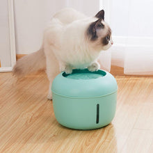Load image into Gallery viewer, 4-filter Pet Water Fountain
